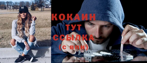 твердый Елизово