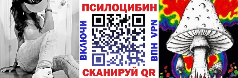 цена   Кызыл  Псилоцибиновые грибы Cubensis 