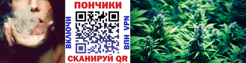 наркошоп  Кызыл  Бошки Шишки LSD WEED 